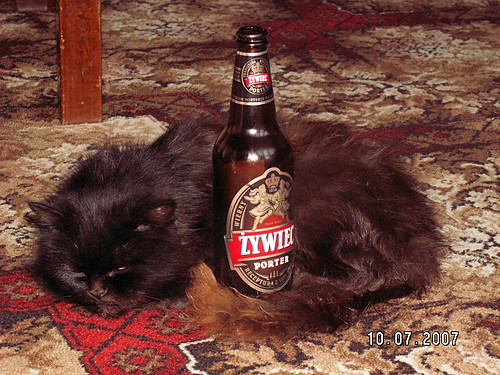 ywiec i Kot
