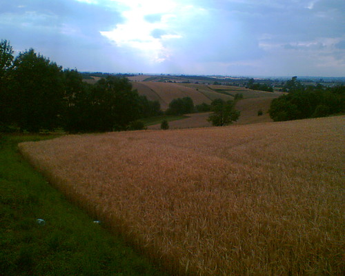 co