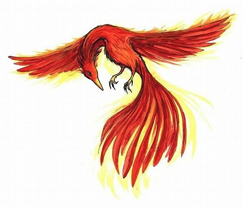 Fenix :)