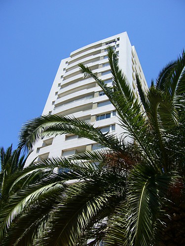 jak w miami.