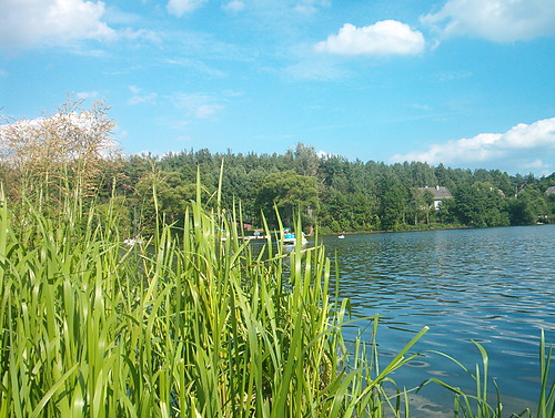 Jeziorko