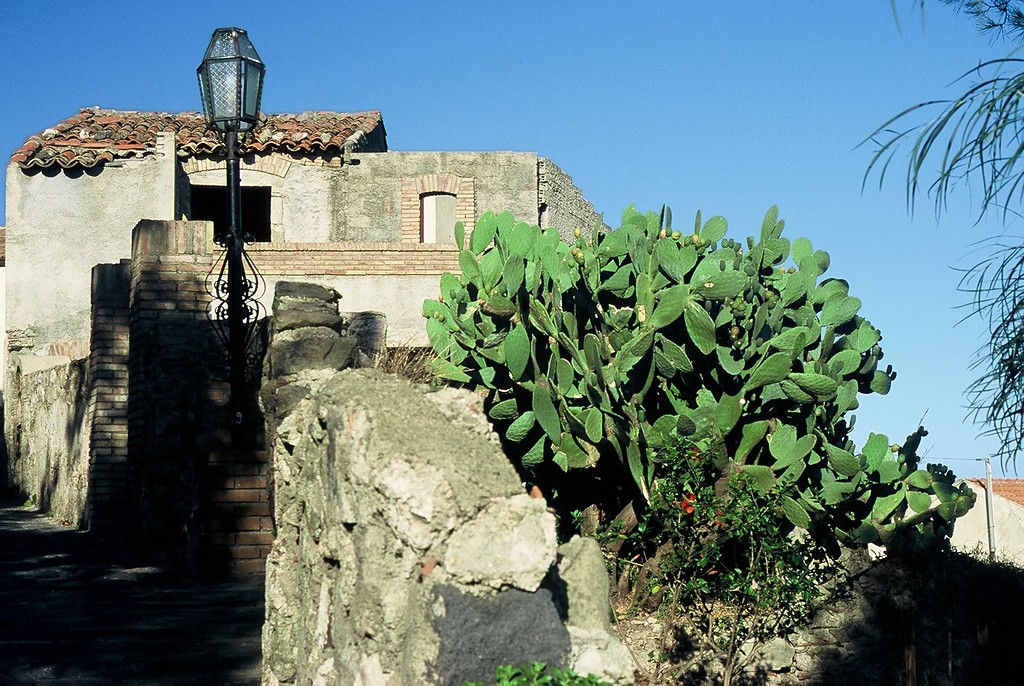 Savoca