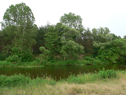 Dzika Natura