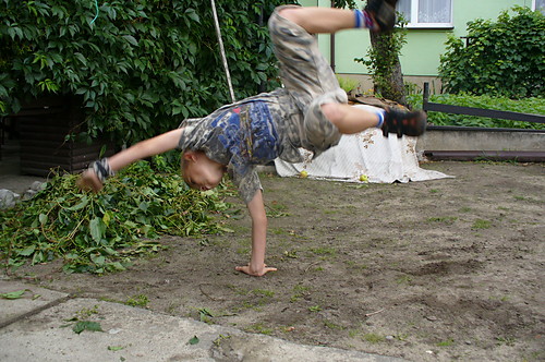 gwiazda