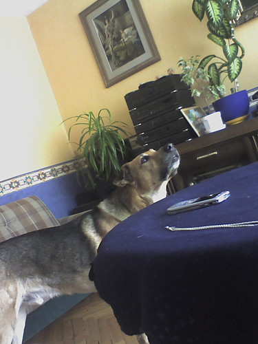 ...:::Maksiu:::... xD