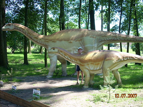                   dinozary i ja