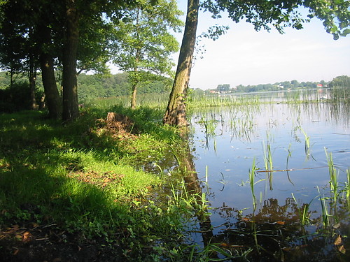 Brzeg