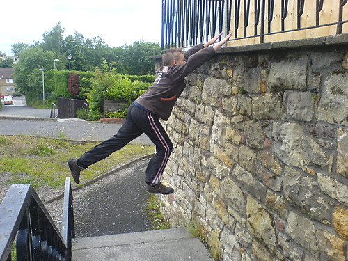 Cat Leap  !!!!!