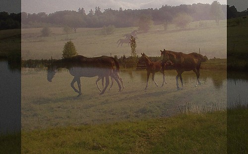 Kotlina, Wallada i zrebaki