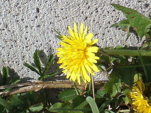 ..:MaRzEnIa:...