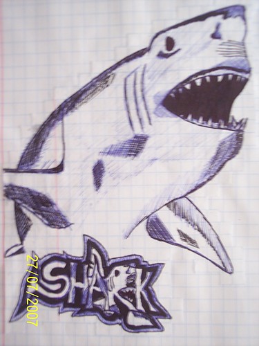 Shark