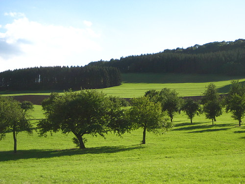 Wartenberg