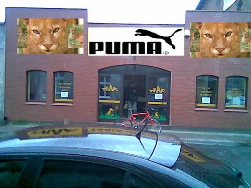 Puma...