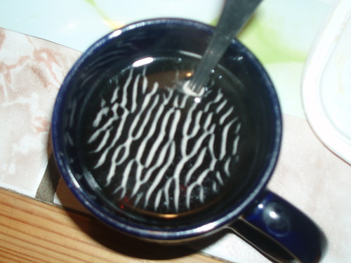 zebra