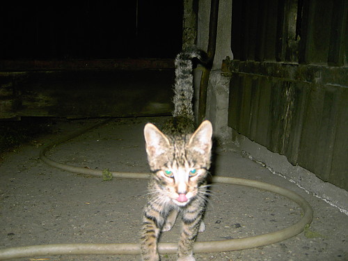 :D