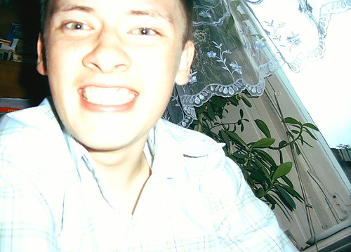 Davit