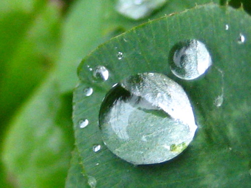 kropelki