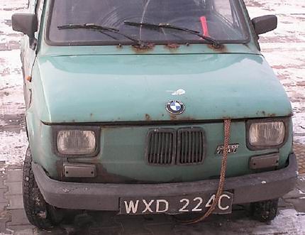 Znudzony nud