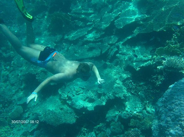 Diving
