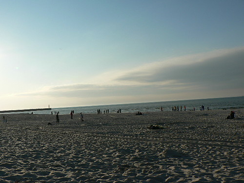 Morzee.