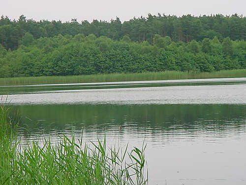 Kulka
