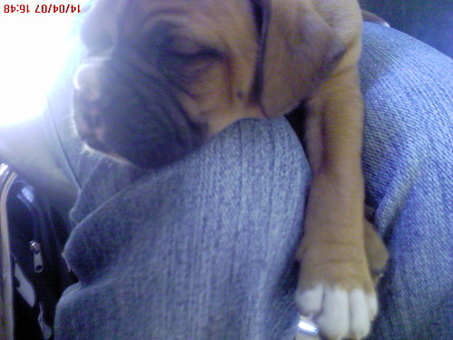 kochanie ! :) 