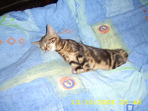 Ale wygodnie!!!! :P