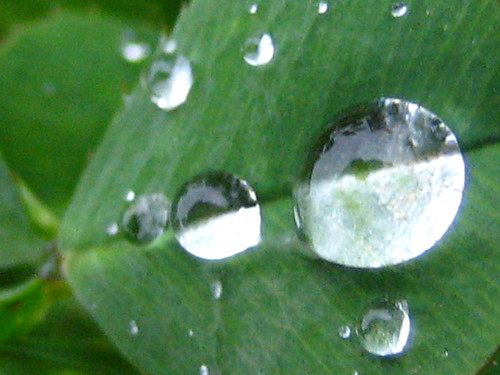 kropelki