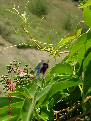 Namitno 