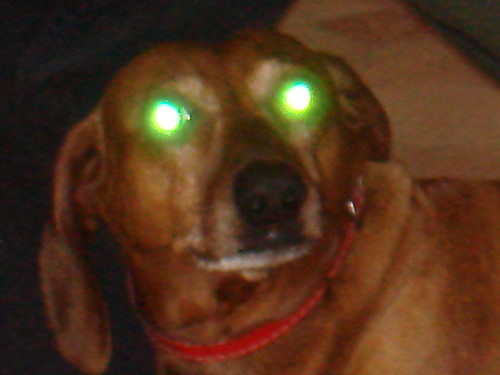 Zombi