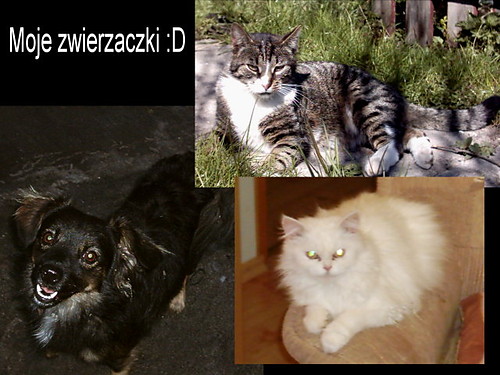kochaniutcy milusinscy :D