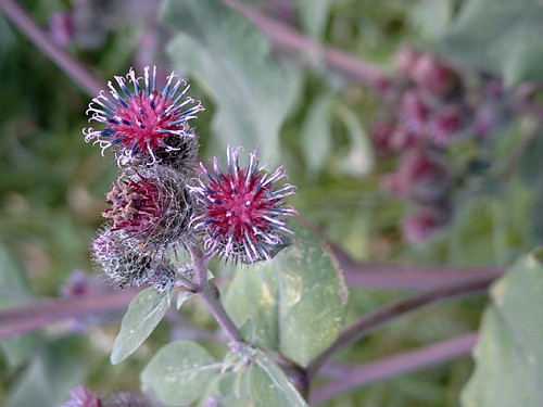 Lato....lato wszedzie:P