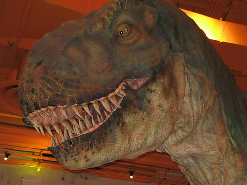 dinozaur