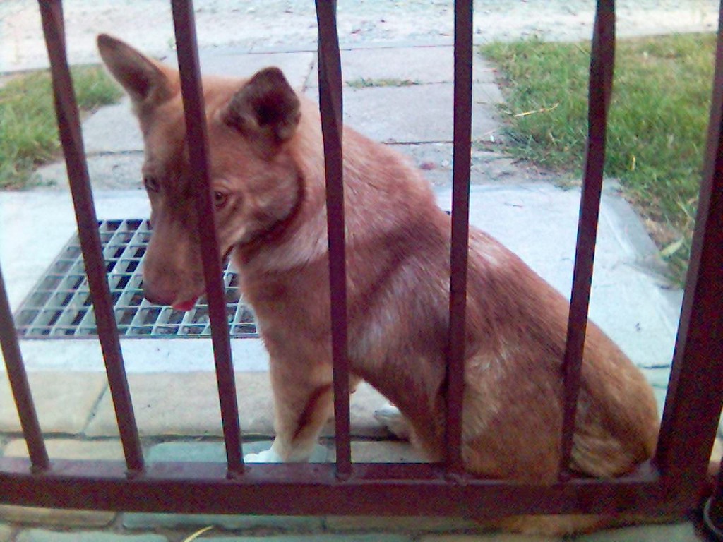 apka