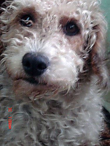 Milka