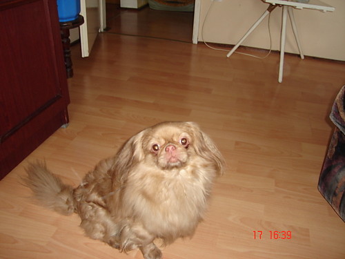 koec