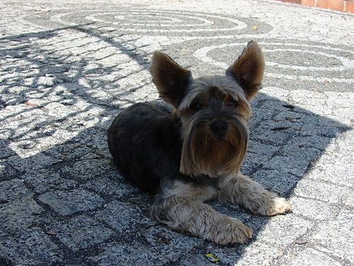 KAJTEK