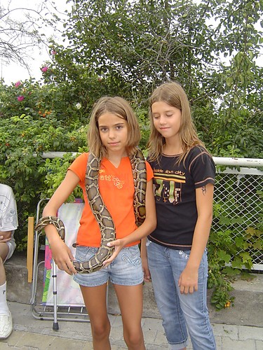 Snake