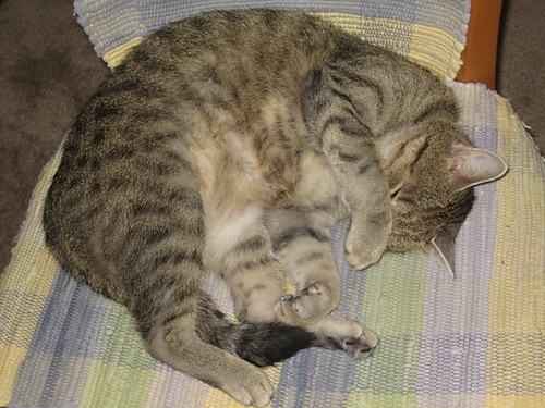 mimi