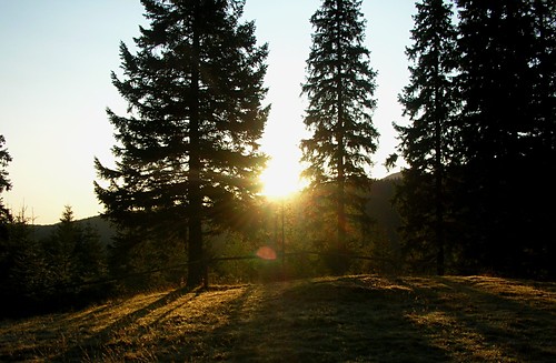 sun..*
