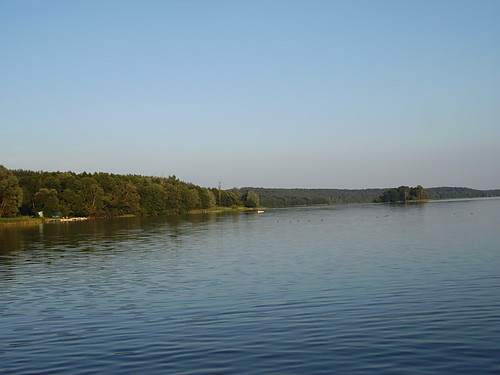 bachotek