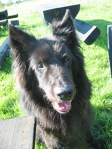 Cezary^^