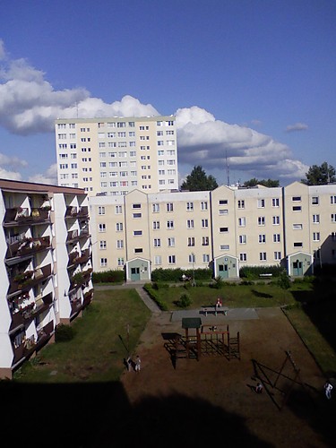 PDG