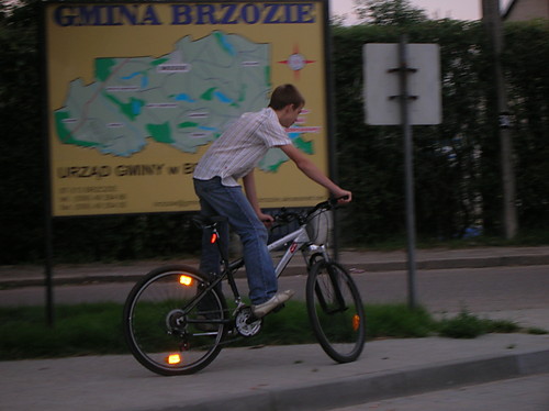 W parku Brzozie City