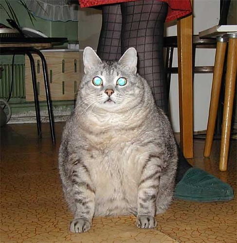Kurwaaaaa