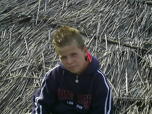Altany