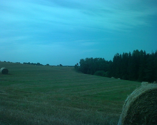 domek