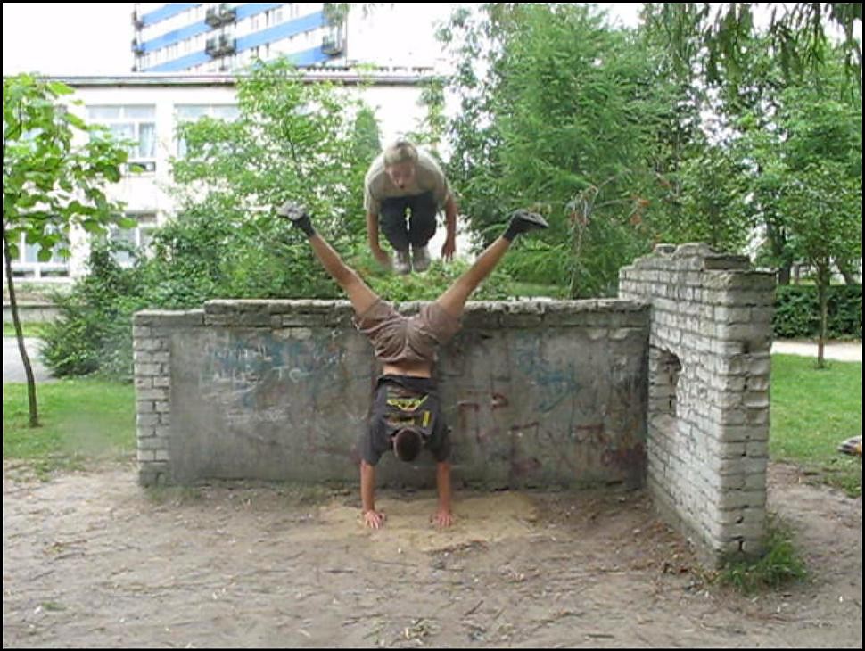 Monkey :)