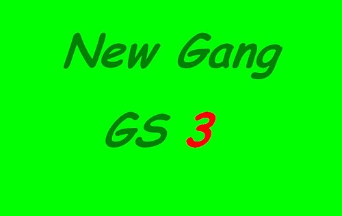 GS3