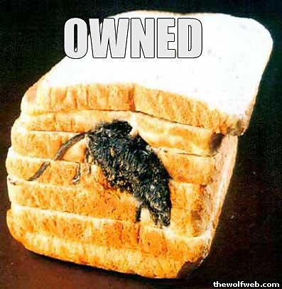 OWNED